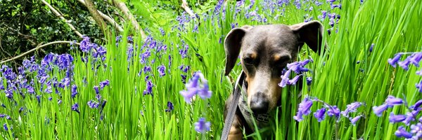 rachleanne891 Profile Banner