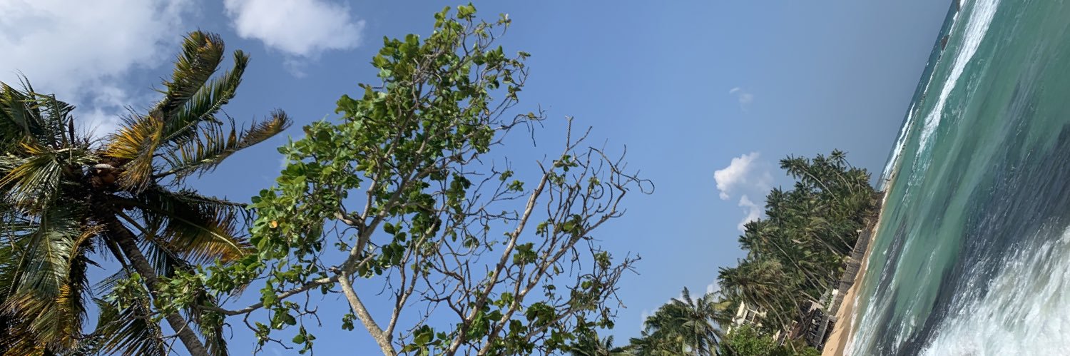 pskan3's profile banner image