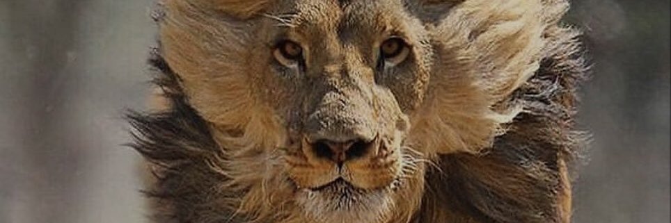 marcusjallen12's profile banner image