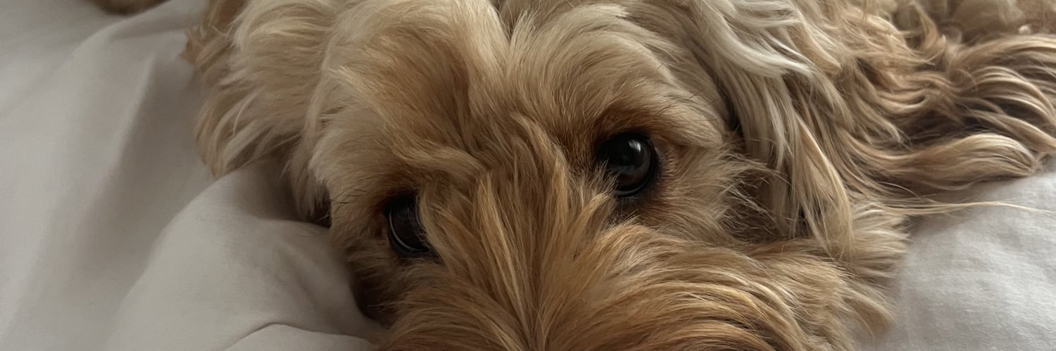 Skye Cheshire banner