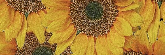 astrotradings's profile banner image