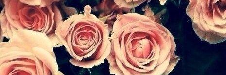 dacna1203's profile banner image
