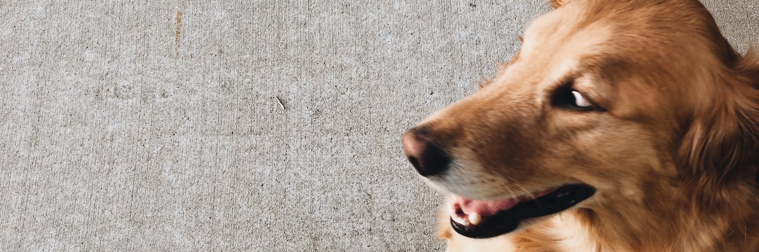 tyleryocum's profile banner image