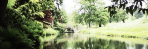 itsericatw's profile banner image