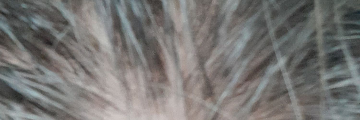 XCDMS123's profile banner image