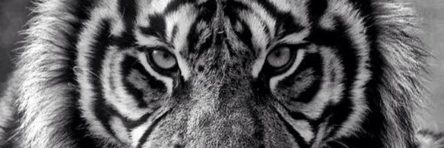 B_Wake24's profile banner image