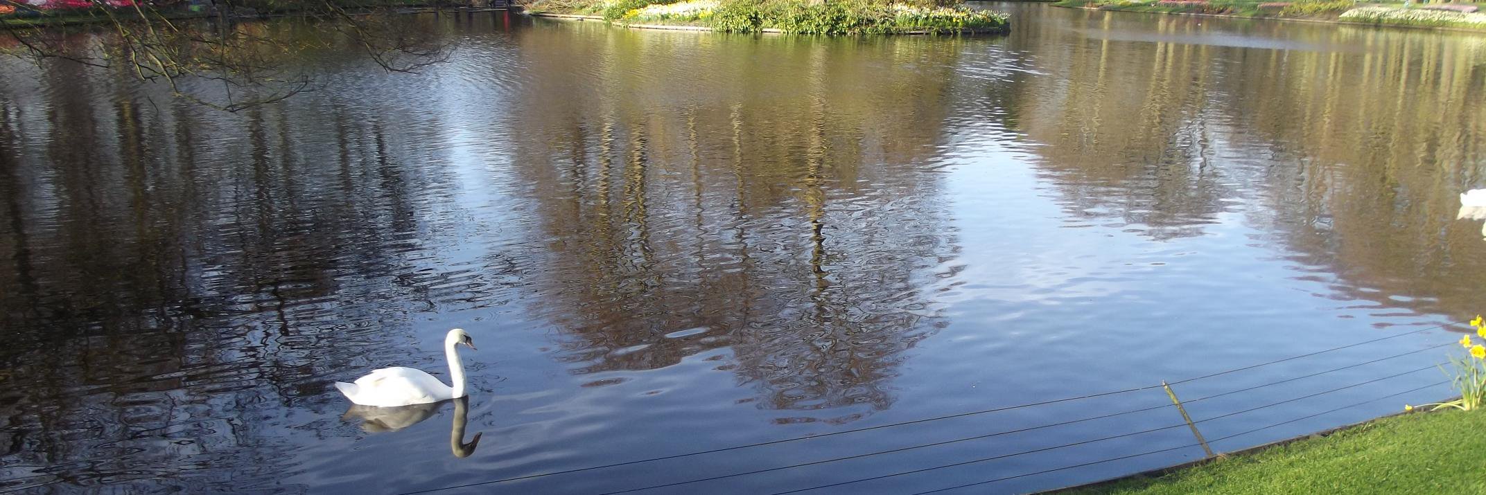 Prasanth Sugathan banner