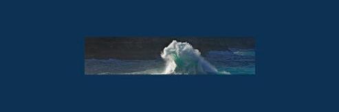 AsociacionAMSE's profile banner image