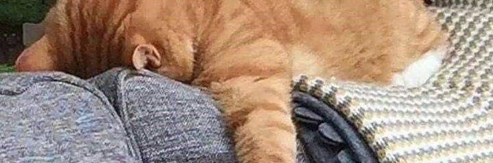 jtxbo's profile banner image
