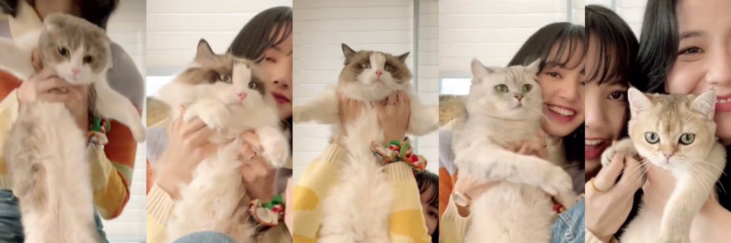 ทาสรักลิซ่า^_^ 💛 banner