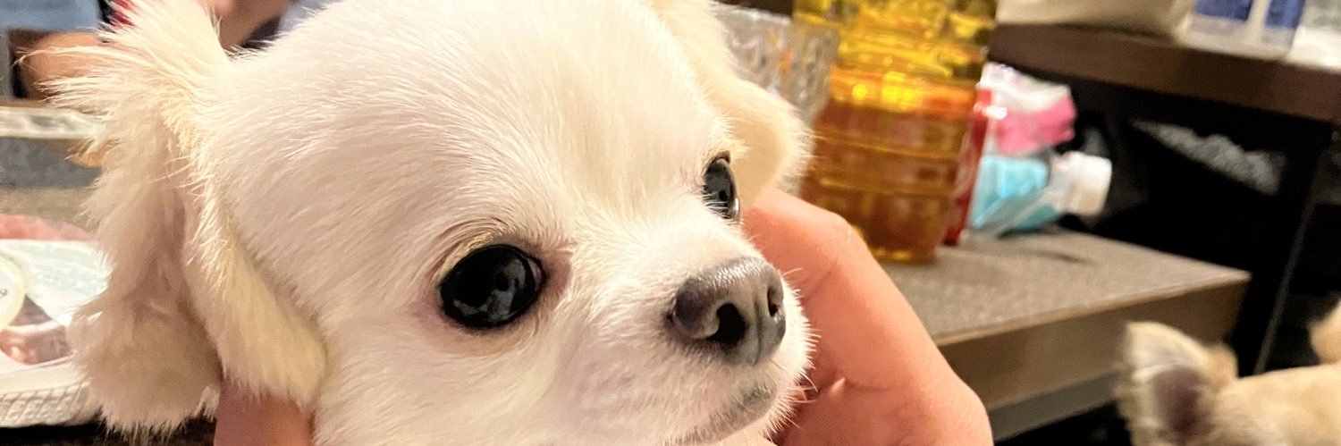 HaRunA2_12's profile banner image