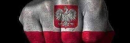 Maciej2002's profile banner image