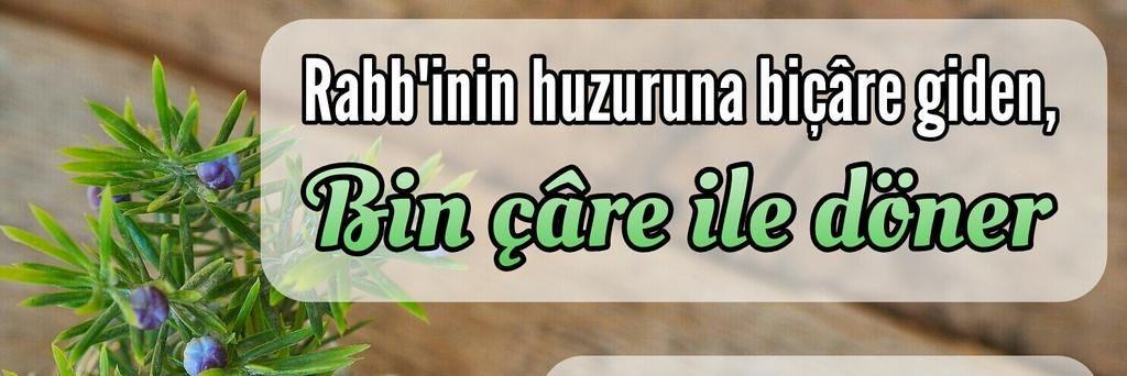 EaSahide's profile banner image