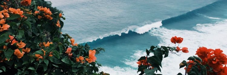 amandaa_isabel's profile banner image