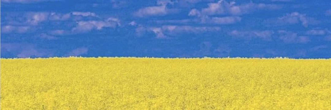maurimaffi's profile banner image