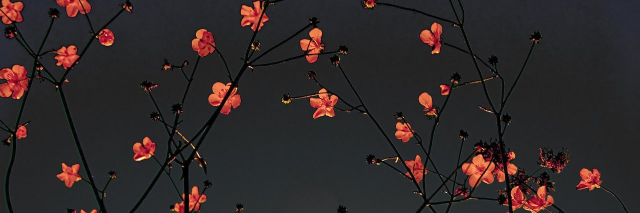 playwlightning's profile banner image
