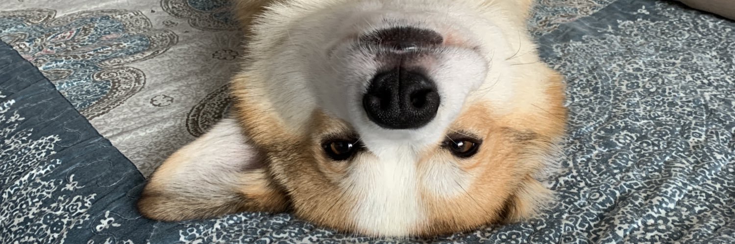 RussNash's profile banner image