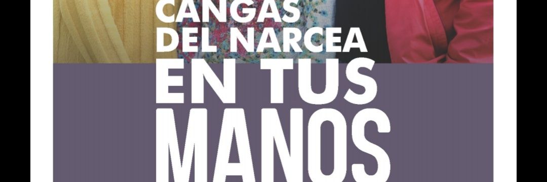 PodemosNarcea's profile banner image
