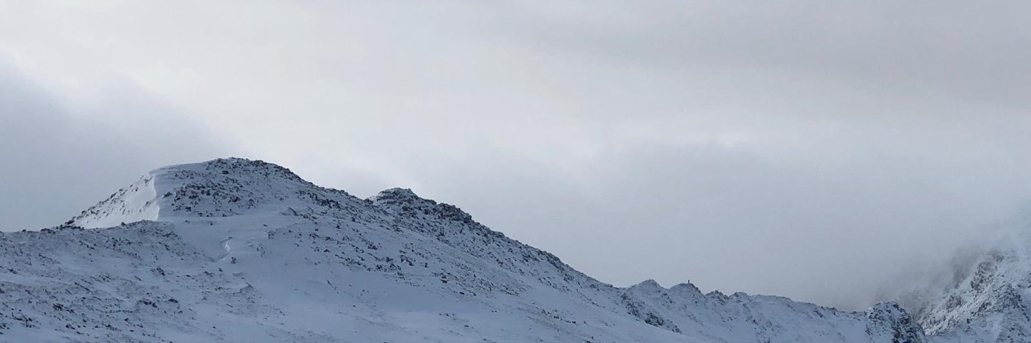 Michael Greaves banner