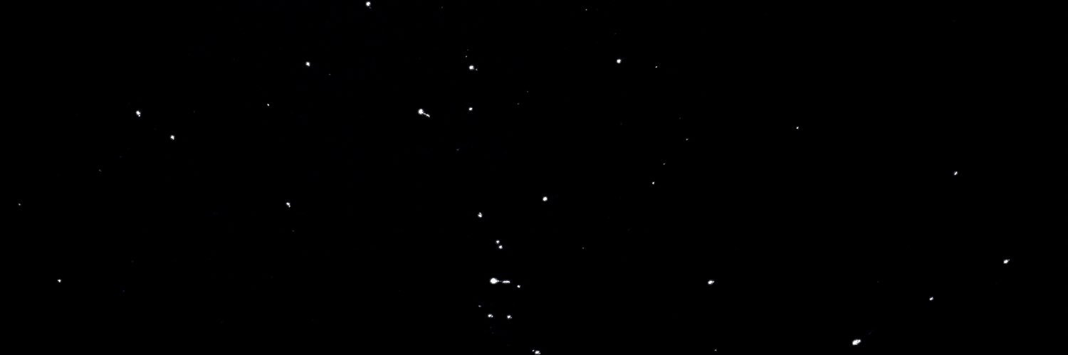 chxybin's profile banner image