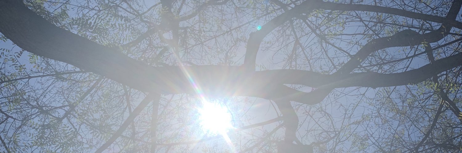 mellison999's profile banner image