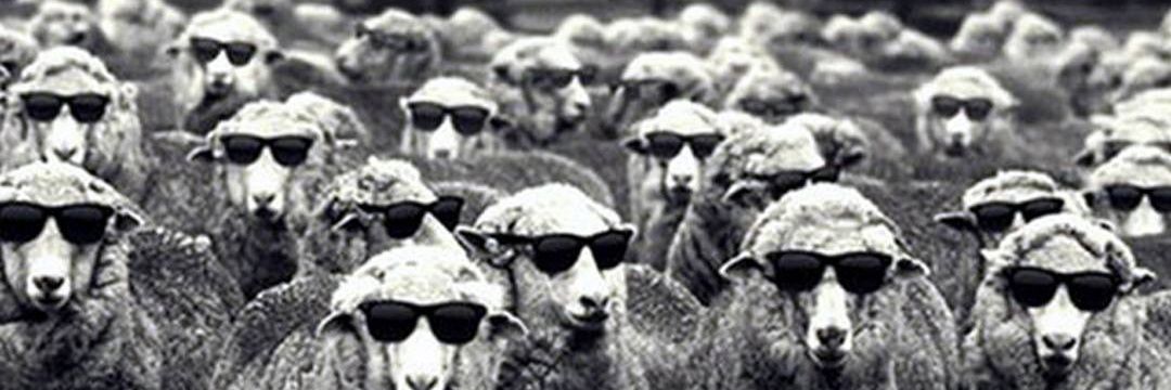 dhanypku's profile banner image