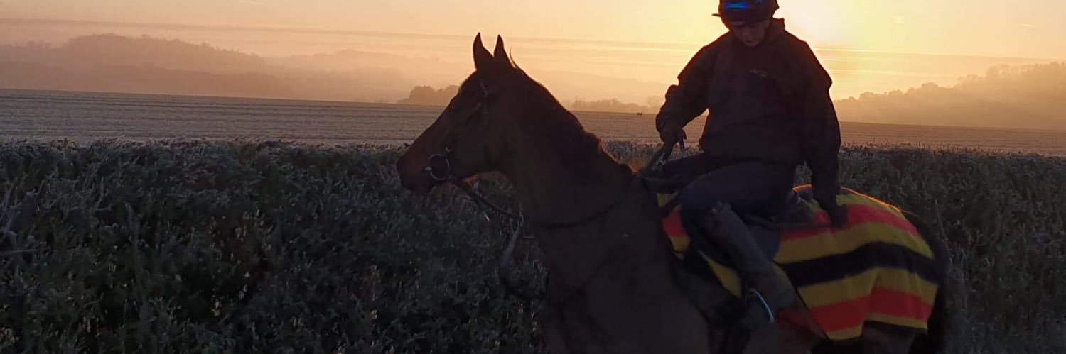 Alyce_L97's profile banner image