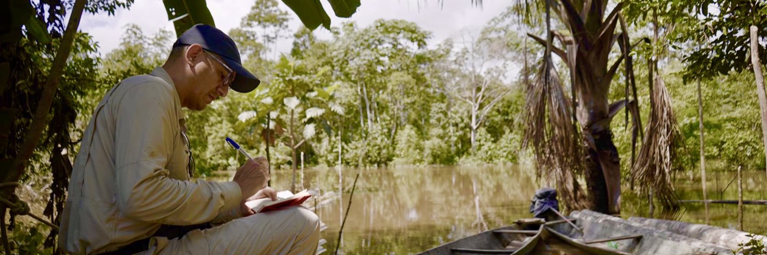 DavidGómezFernandini banner