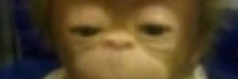 nymeesh's profile banner image
