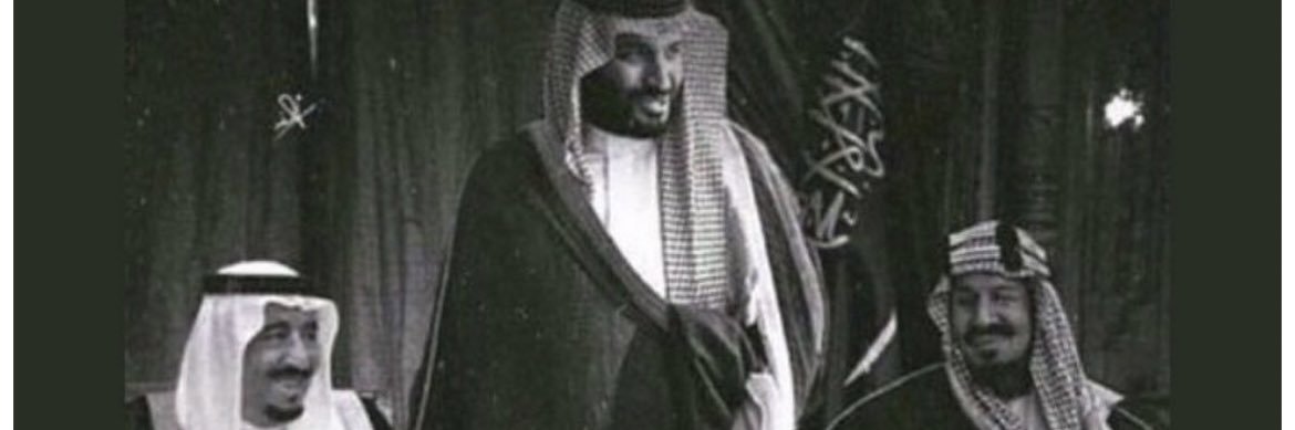 𝓑𝓾𝓼𝓱𝓻𝓪. banner