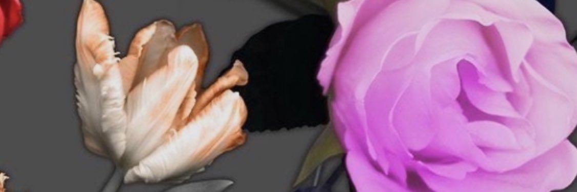 OpheliaBnl's profile banner image