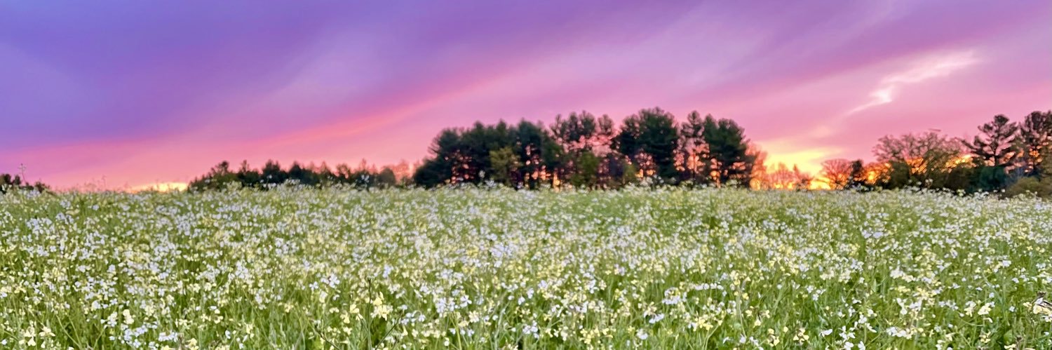 Justin Patchin banner