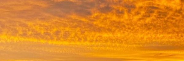 lecryptocorner Profile Banner