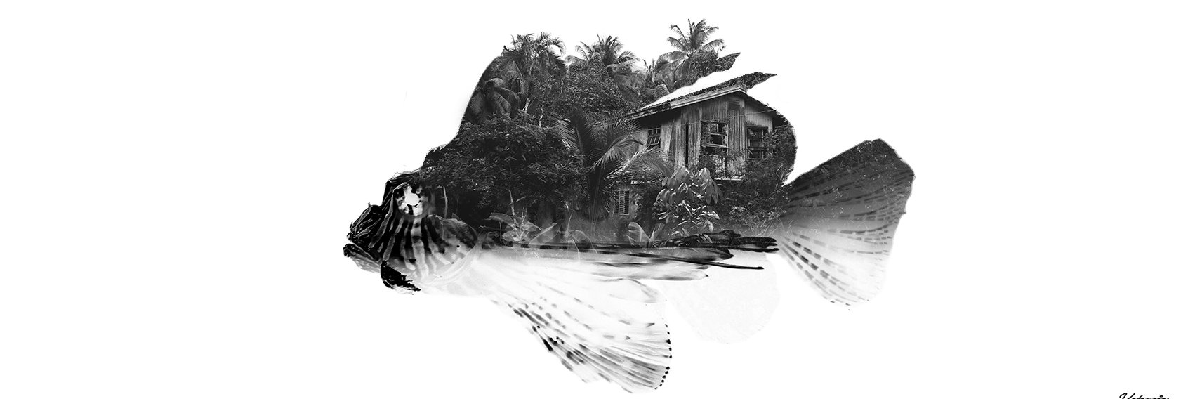 dsigner_'s profile banner image