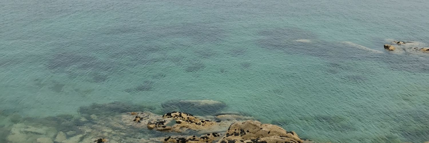 _noelialopezc's profile banner image