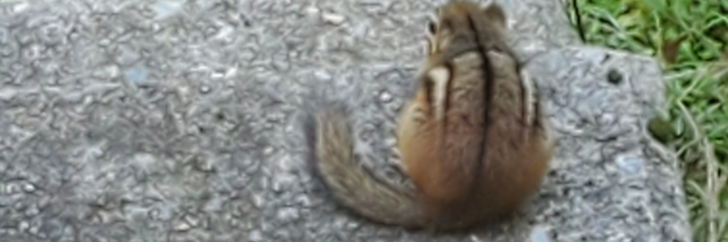 FallisCarl's profile banner image