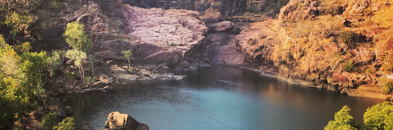 Chelsea Heaney banner