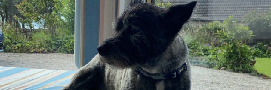 ciaramcbrideex's profile banner image
