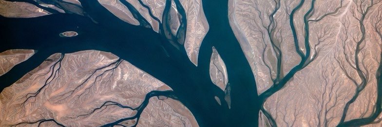 RonFreemanMD's profile banner image