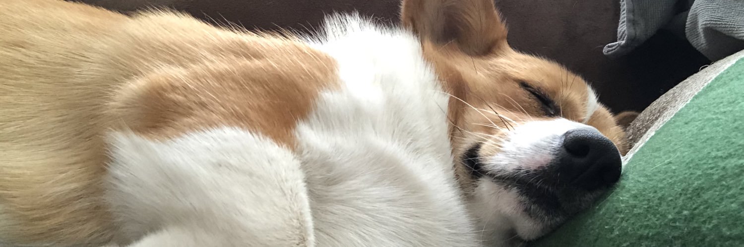 tinyducks's profile banner image