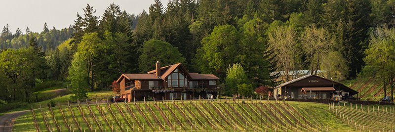 Vidon Vineyard banner