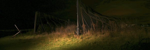 Evy316 Profile Banner