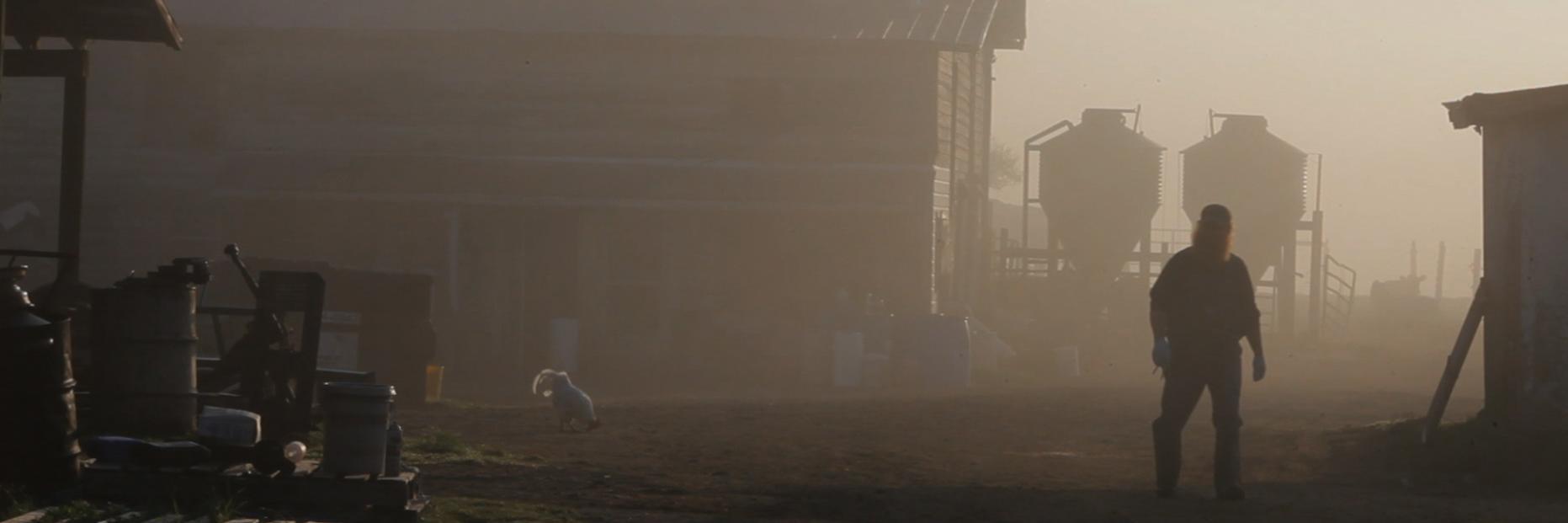 LastBarnDance's profile banner image