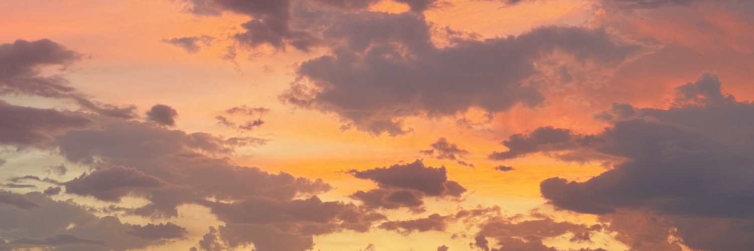 fannymirr's profile banner image