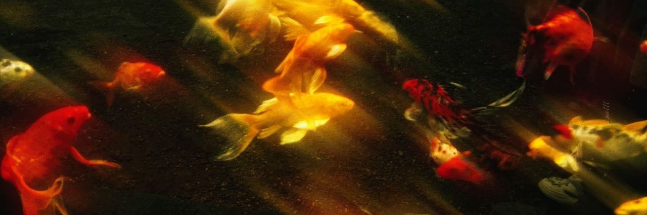 outofstamina_'s profile banner image