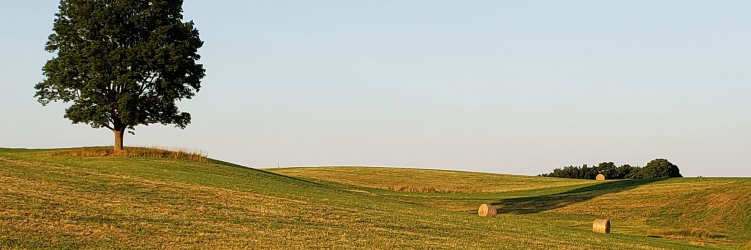 Joni Merritt banner