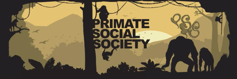 sirdaf's profile banner image