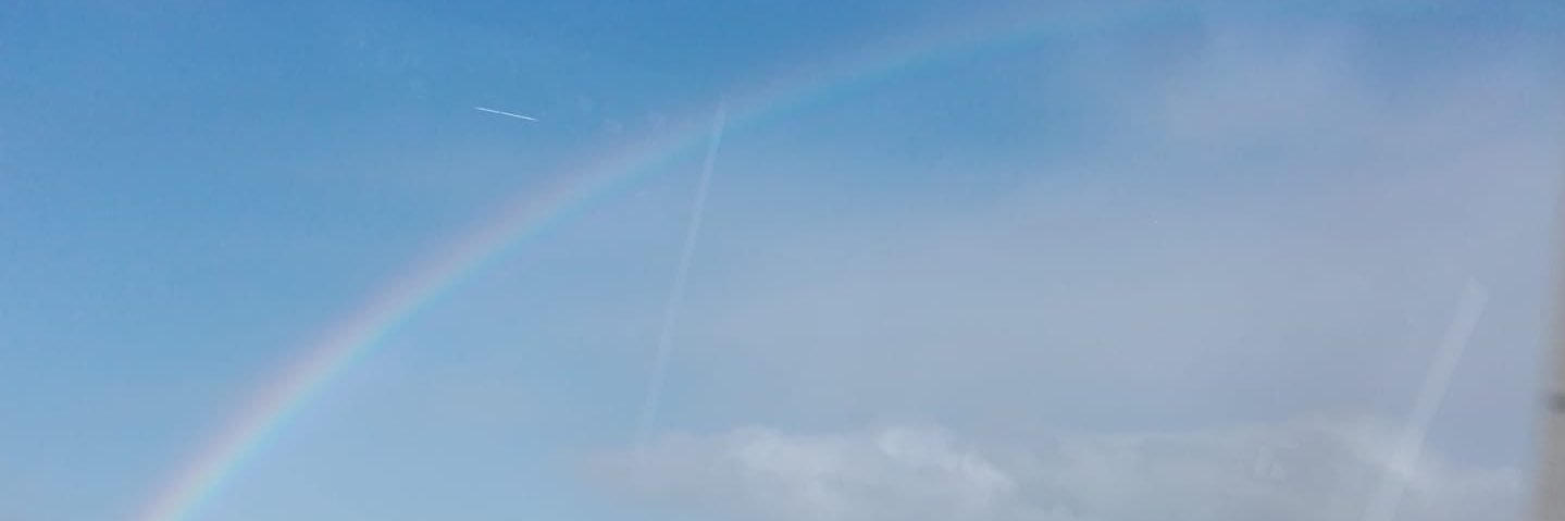 nunofernandess's profile banner image