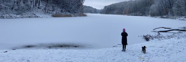 SarahZerdick Profile Banner