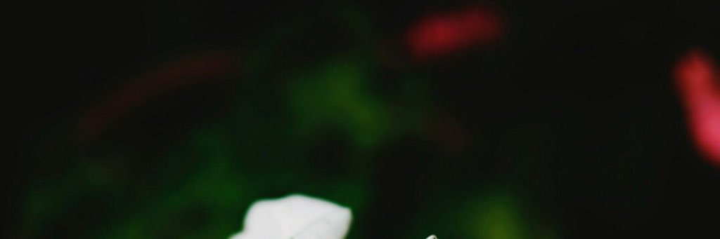 ежов андрей banner